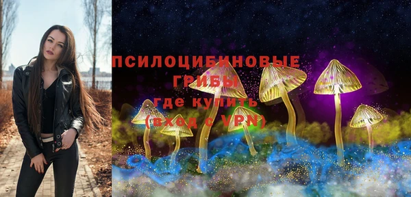 ГАЛЛЮЦИНОГЕННЫЕ ГРИБЫ Алексин