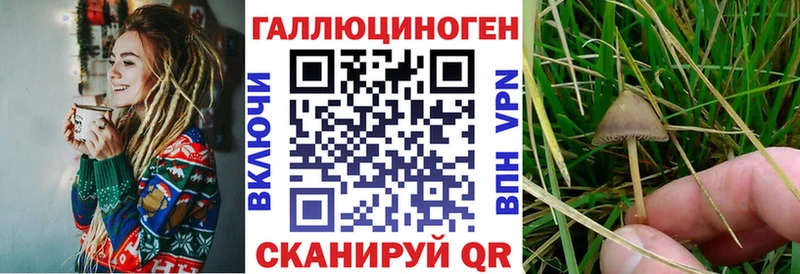 что такое наркотик  Кирово-Чепецк  Галлюциногенные грибы мицелий 