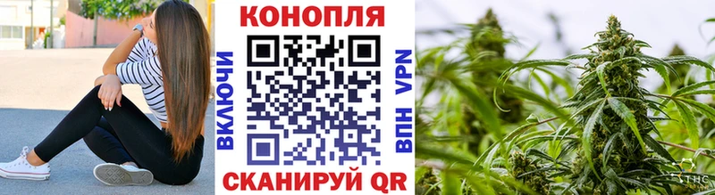 Каннабис сатива  где найти наркотики  Кирово-Чепецк 